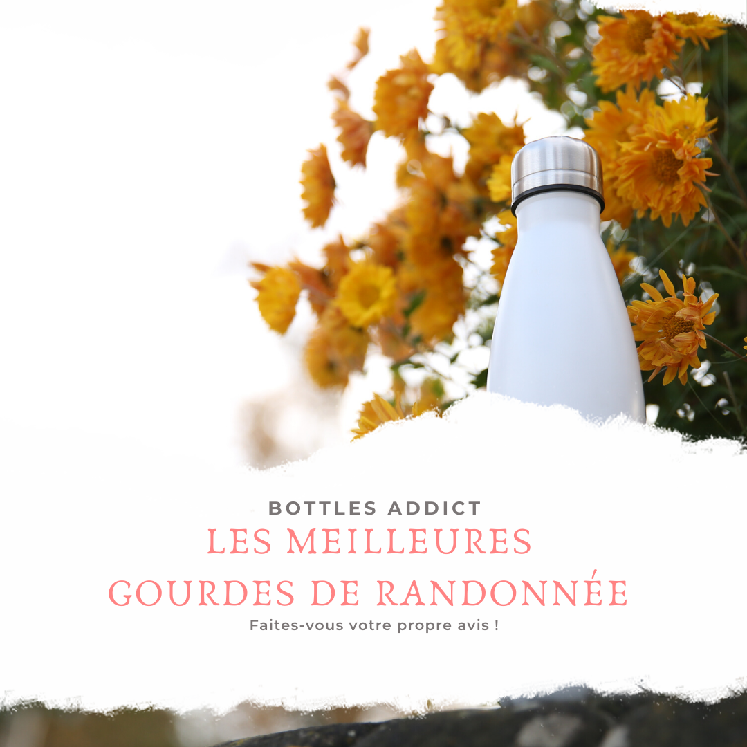 Teekay Rezeau-Merah - Social Media manager