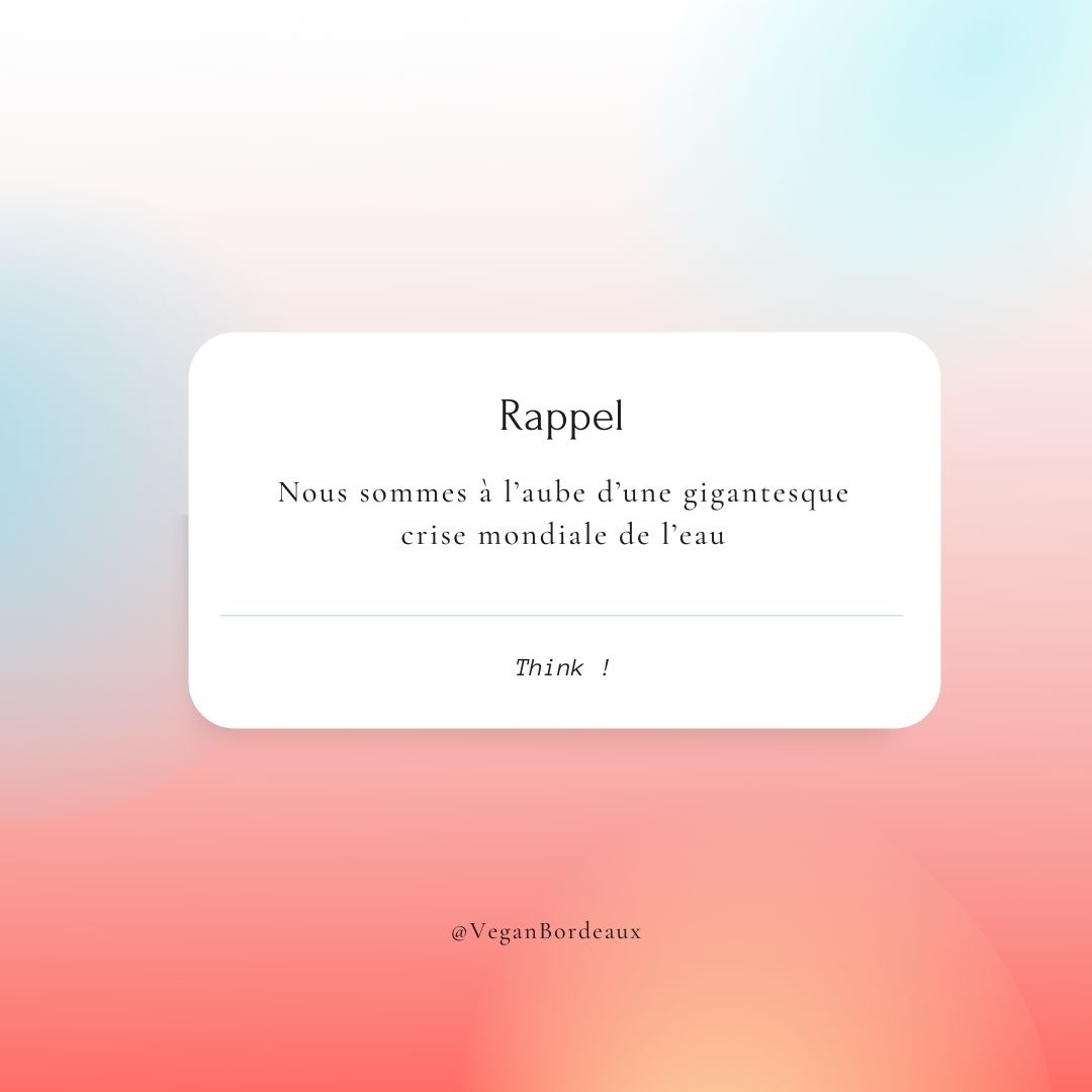 Teekay Rezeau-Merah - Social Media manager