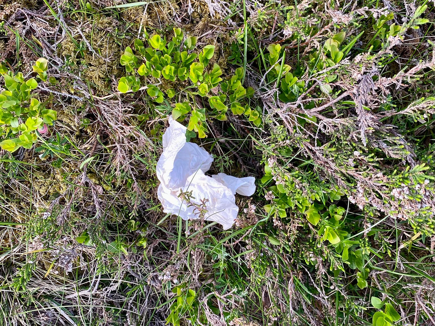 Teekay @teekayrezeaumerah