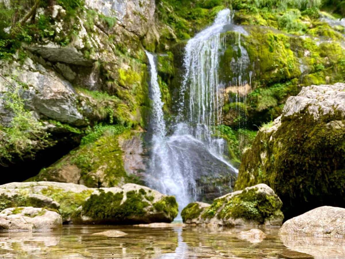 The Great Paradox: Our Love-Hate Relationship with&nbsp;Nature