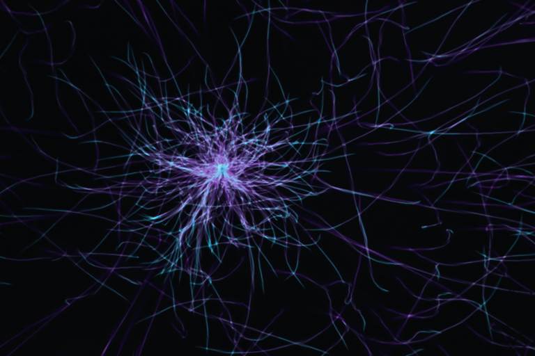 Neurons