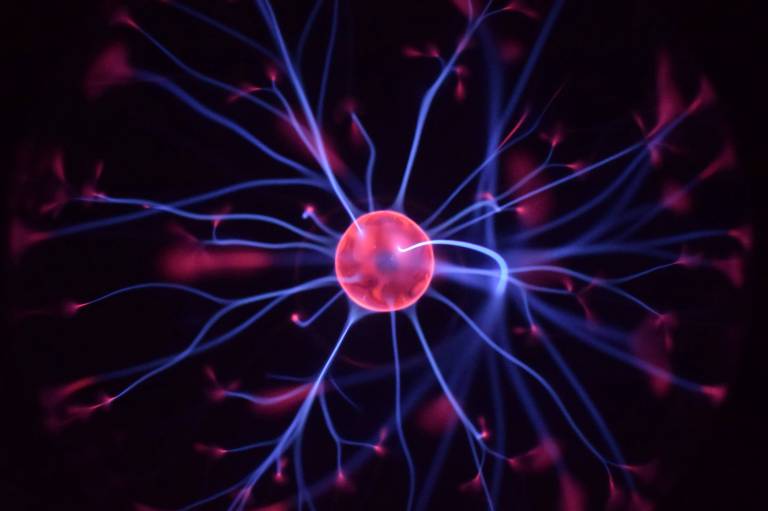 Neurons
