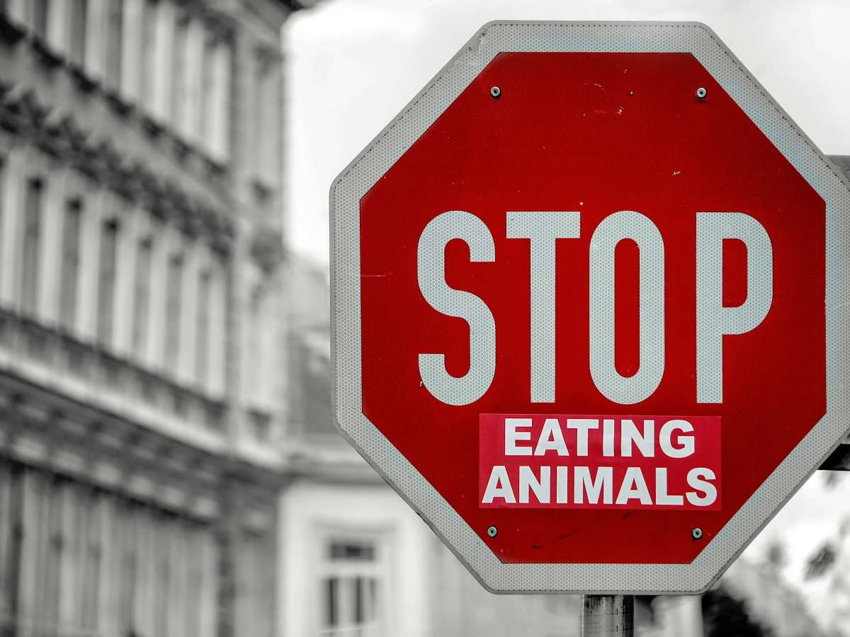 Every road leads to the same&nbsp;slaughterhouse