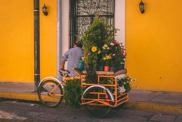 Mexico city
